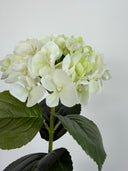 Artificial Hydrangea Flower - White/Green