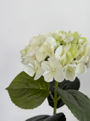Artificial Hydrangea Flower - White/Green