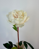 Artificial Large Peony Flower - White