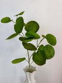 Artificial Plum Aralia Leaves - Green