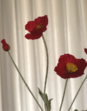 Artificial Poppy -Red