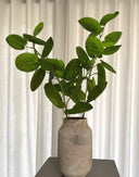 Artificial Plum Aralia Leaves - Green
