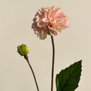 Artificial Small Dahlia Flower, Pink