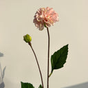 Artificial Small Dahlia Flower, Pink