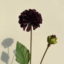 Artificial Small Dahlia Flower, Black Purple