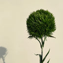 Artificial Green Ball Flower