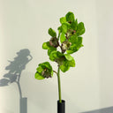 Artificial Cymbidium Orchid Flower Green