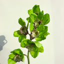 Artificial Cymbidium Orchid Flower Green